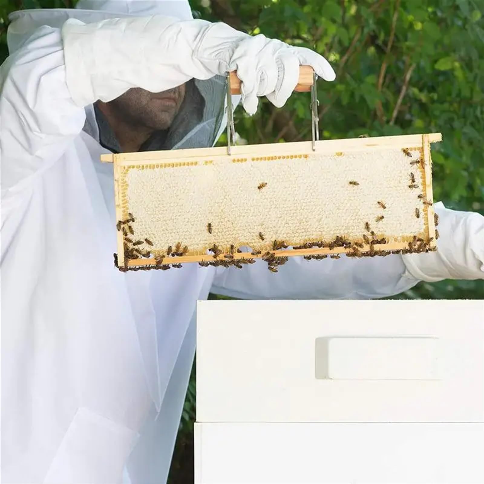 Mono De Apicultor Para Apicultores Ropa de apicultor de cuerpo completo, trajes protectores profesionales for apicultores con velo redondo antiabejas, capucha, sombrero de seguridad(L)