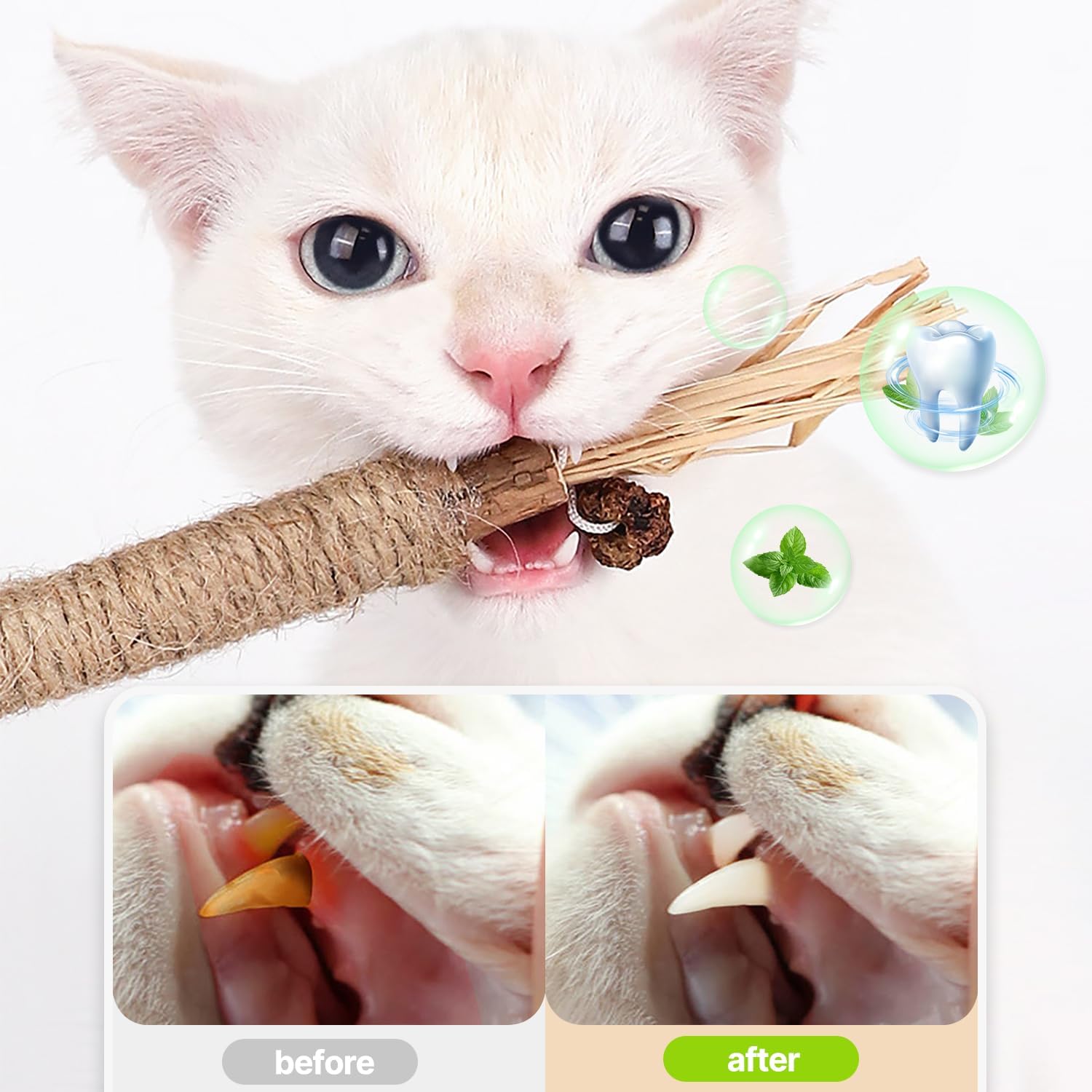 SUOXU Catnip Toy Silvervine Chew Sticks,Interactive Cat Toy for Indoor Cats, Natural Cat Kitten Teething Chew Toy, Suitable For Teeth Cleaning and Stress Release Catnip Toy Chewing Rope 5 71b47Ffi+rL. AC SL1500