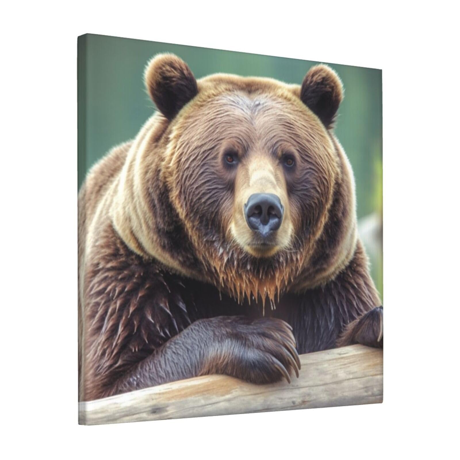 KLOPH Grizzly bear Canvas Wall Art for Living Room 12"x12" Modern Artwork Painting for Bathroom Hanging Canvas Prints Aesthetic Wallart for Bedroom Kitchen Office Wall Decor