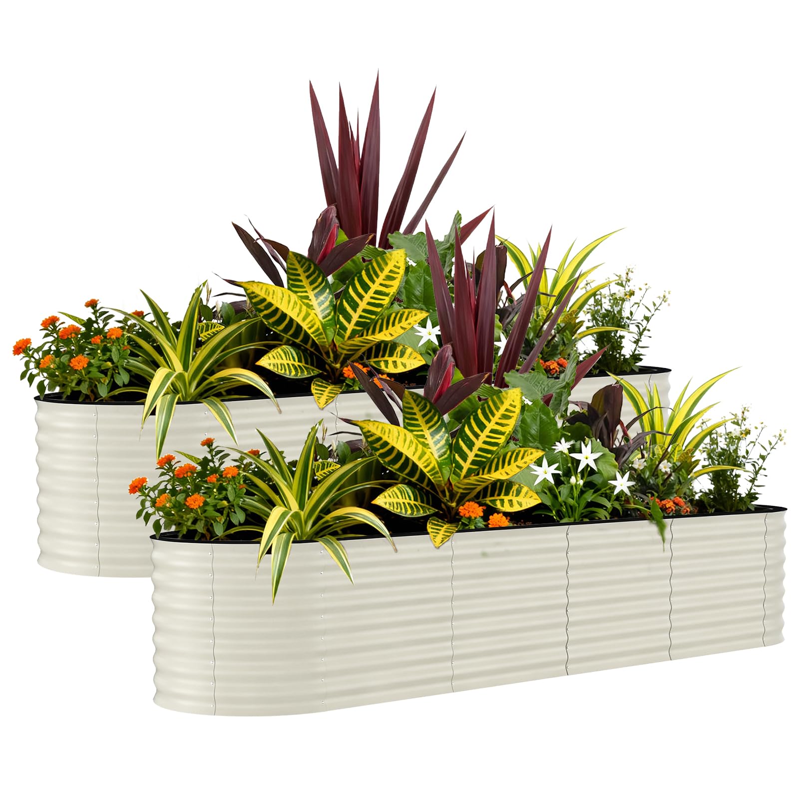 Aptliton 2 Pcs-White-With Anti-Cut Strips 2 Pack Galvanized Raised Garden Beds 240X60x60cm, Metal Planter Boxes For Outdoor Vegetables, Flowers & Herbs - Rust-Resistant, Durable, Easy Assembly, Upgraded Anti-Cut Strips - White