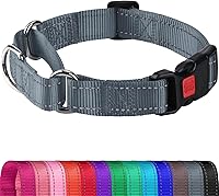 Vista 16 de Joytale Collar Martingale para perros, reflectante resistente para mayor seguridad, hebilla de liberación rápida, collares de nailon ajustables
