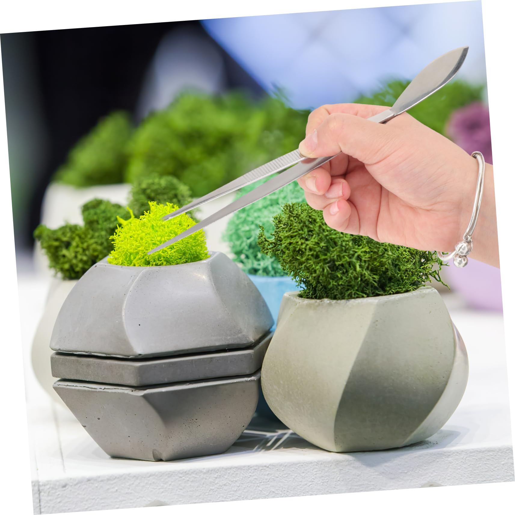 Toddmomy 4 Pezzi Pinzetteri pinzette dritte pinzette per spatole per bonsai pinzette per piante attrezzi per bonsai pinzette per modellare Must Garden Tintezers Acciaio inossidabile Argento
