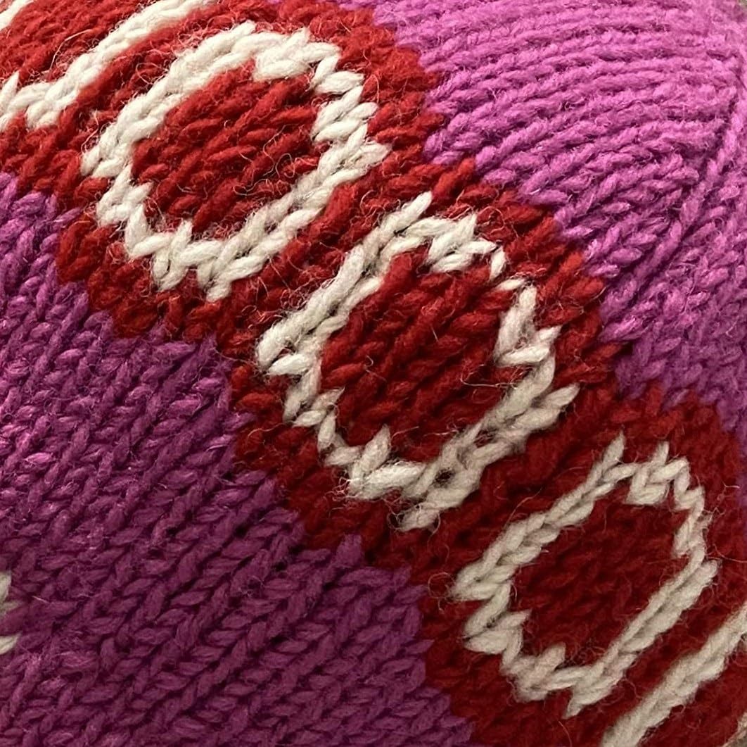 Agan Traders 146 H Beanie Hats Fleece Lined Knit Wool Trapper (S/M, Multi 171)