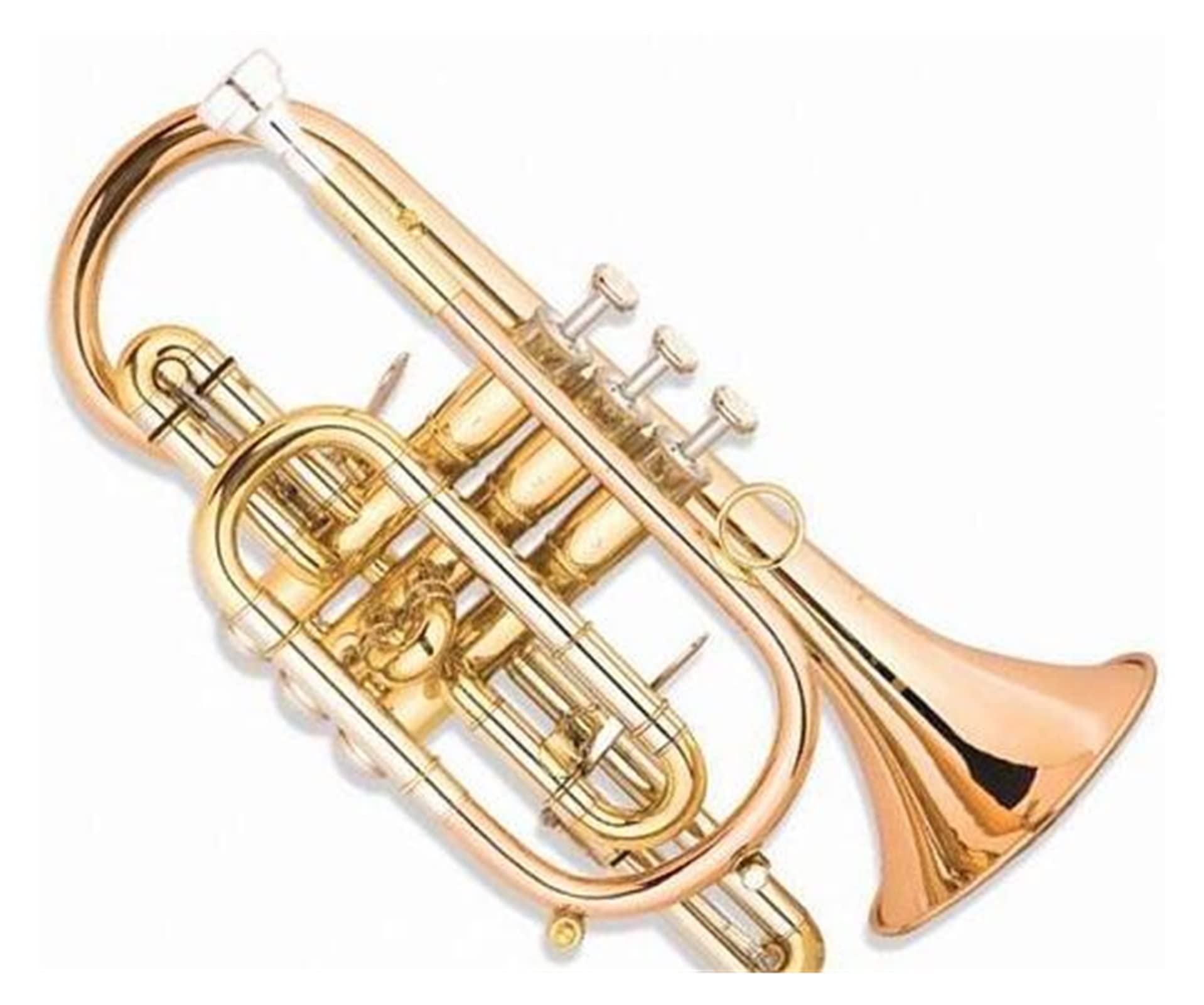 Amazon.co.jp: Bb金管楽器コルネットシルバーメッキベル119mm、ケース