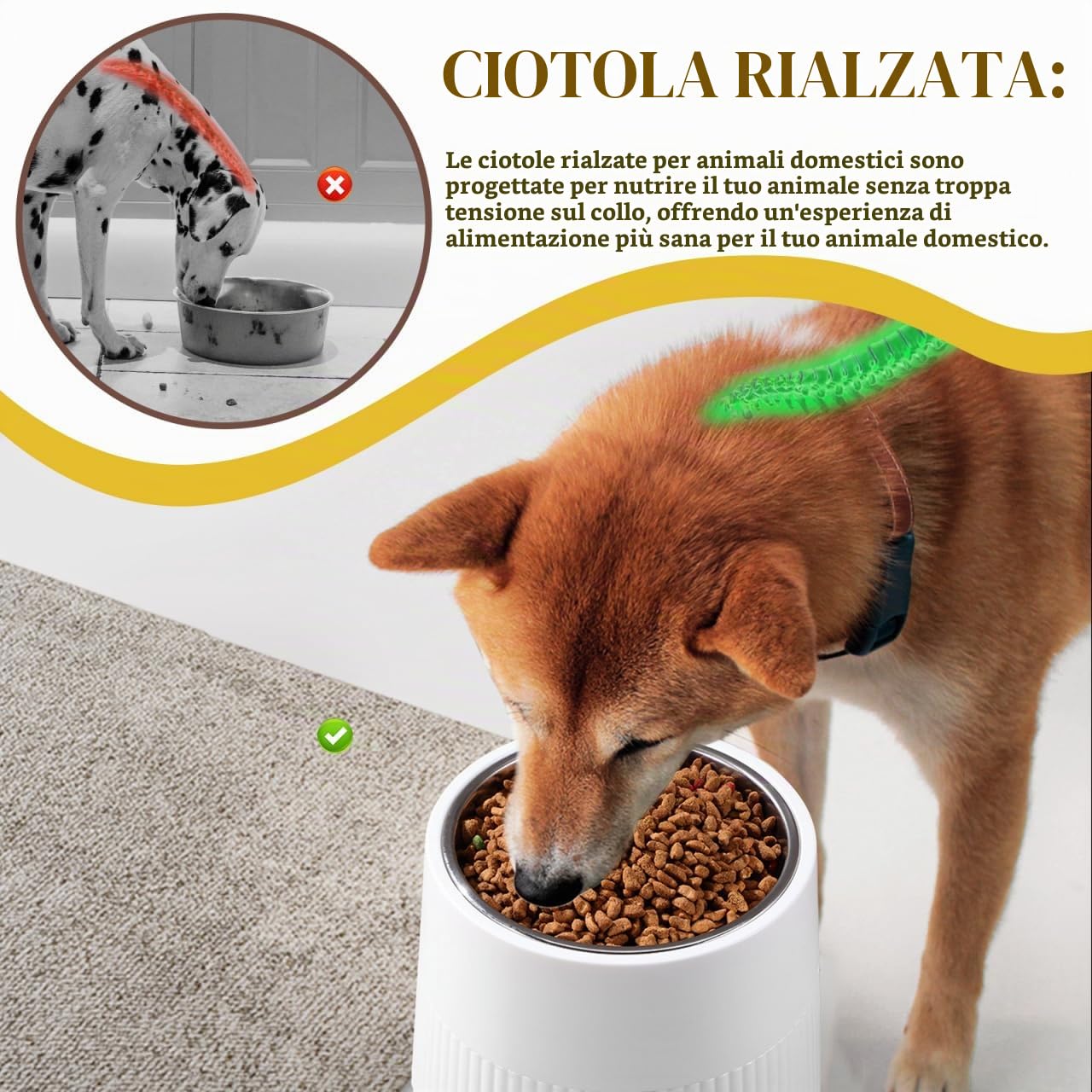 ibasenice Ciotola Rialzata Per Cani in Acciaio Inossidabile Con Fondo Rimovibile Regolabile Supporto Stabile Per Alimentazione Sana Animali Domestici 7.01X6.10X5.12In