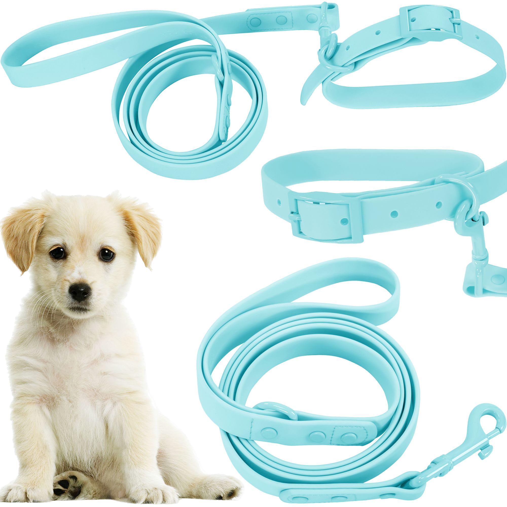 Laisse et collier en caoutchouc pour chien pour des balades sereines