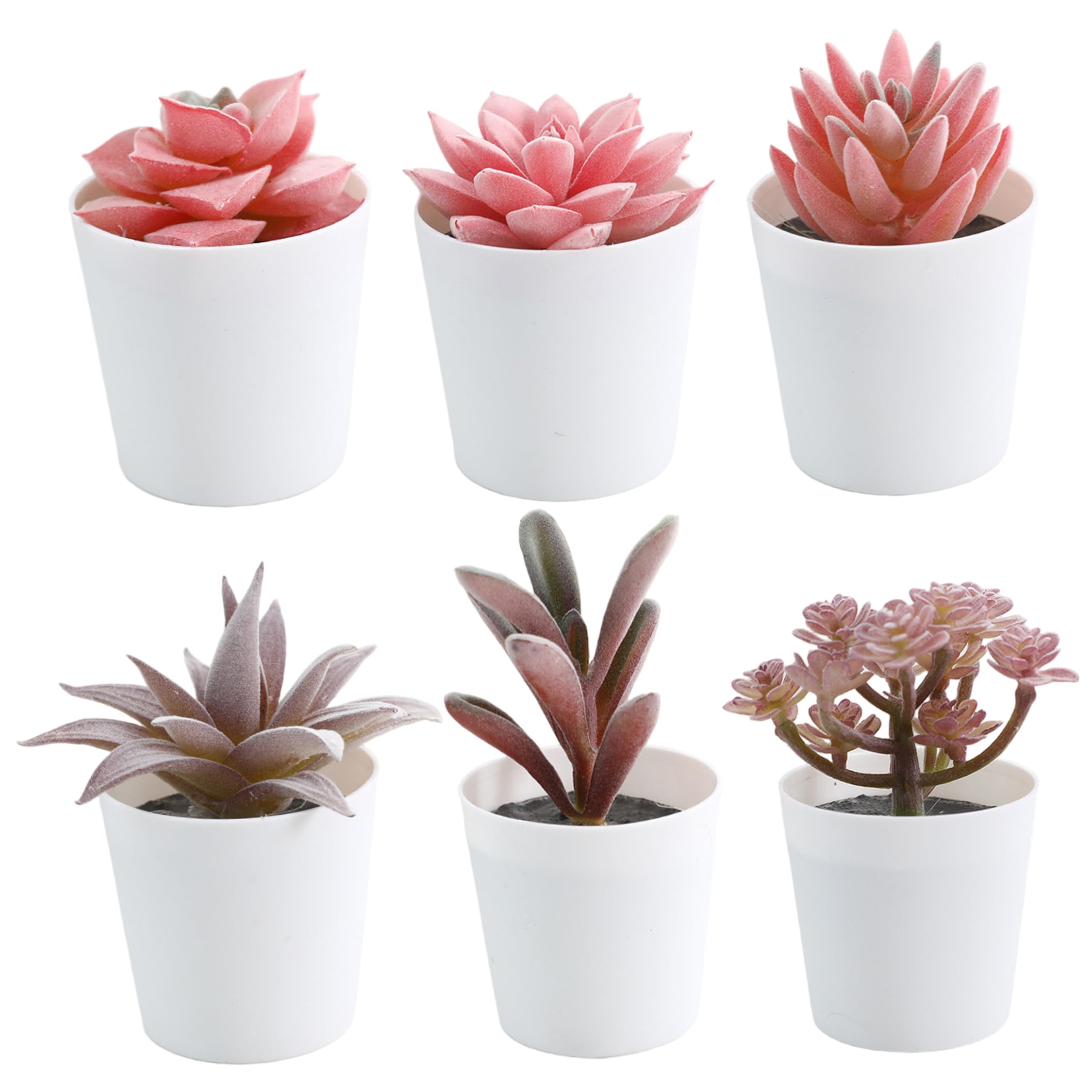 Mini succulentes artificielles réalistes en pot lot de 6 fausses plantes déco maison