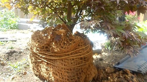 Miniatura 4 de Cordel de jardín para atar tomates hecho de fibra de coco de alta calidad (fibra de cobre) longitud de pies de 0.197 in de diámetro, peso de 0.4