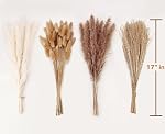 Décor d'herbe de la pampa artificielle, 100 PCS d'herbe de la pampa contenant des queues de lapin, bouquet d'herbe de roseau pour mariage, fleurs boho, décoration de table à la maison, fête rustique de la ferme (Blanc et brun)