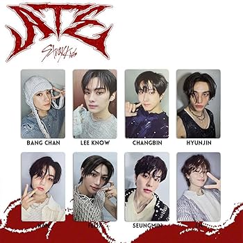 K-POP Astro トレカ プラスチック製 ムンビン 赤髪 straykids スキズ KARMA チャンビン トレカ Accordion コンプ