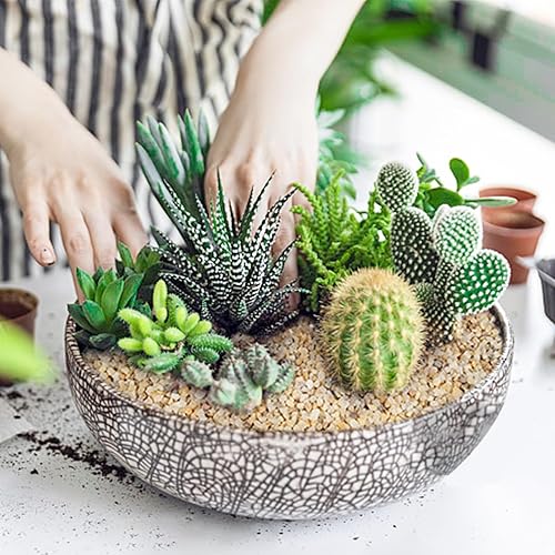 Miniatura 5 de BLAZECLAY Arena de sílice ignífuga para hogueras, arena de sílice de 10 libras para chimeneas y fuego de gas, capa base a prueba de calor, arena