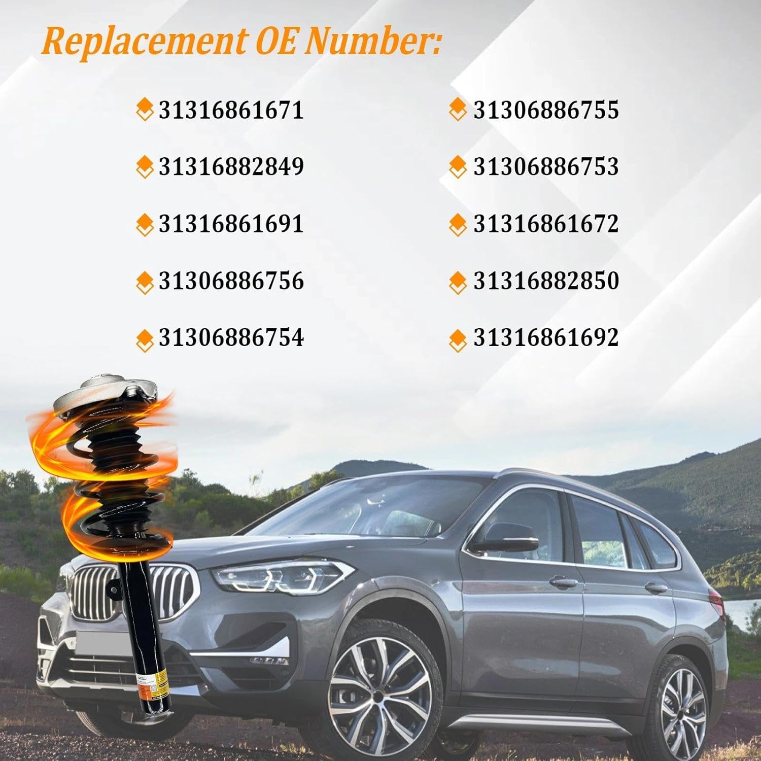 31316861671, 31306886755 2 Pcs Front Shcoks Absorber Strut Assembly Fit For 2016-2022 BMW F48 X1 [SDrive, XDrive28i]