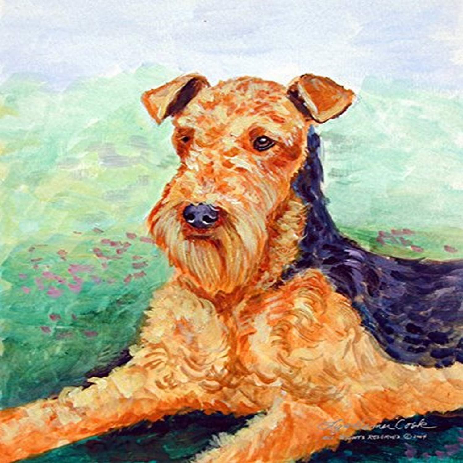 Caroline's Treasures 7239CHF Airedale Terrier House Flag Large Porch Sleeve Pole Decorative Outside Yard Banner Artwork Wall Hanging, Polyester, House Size, Multicolor