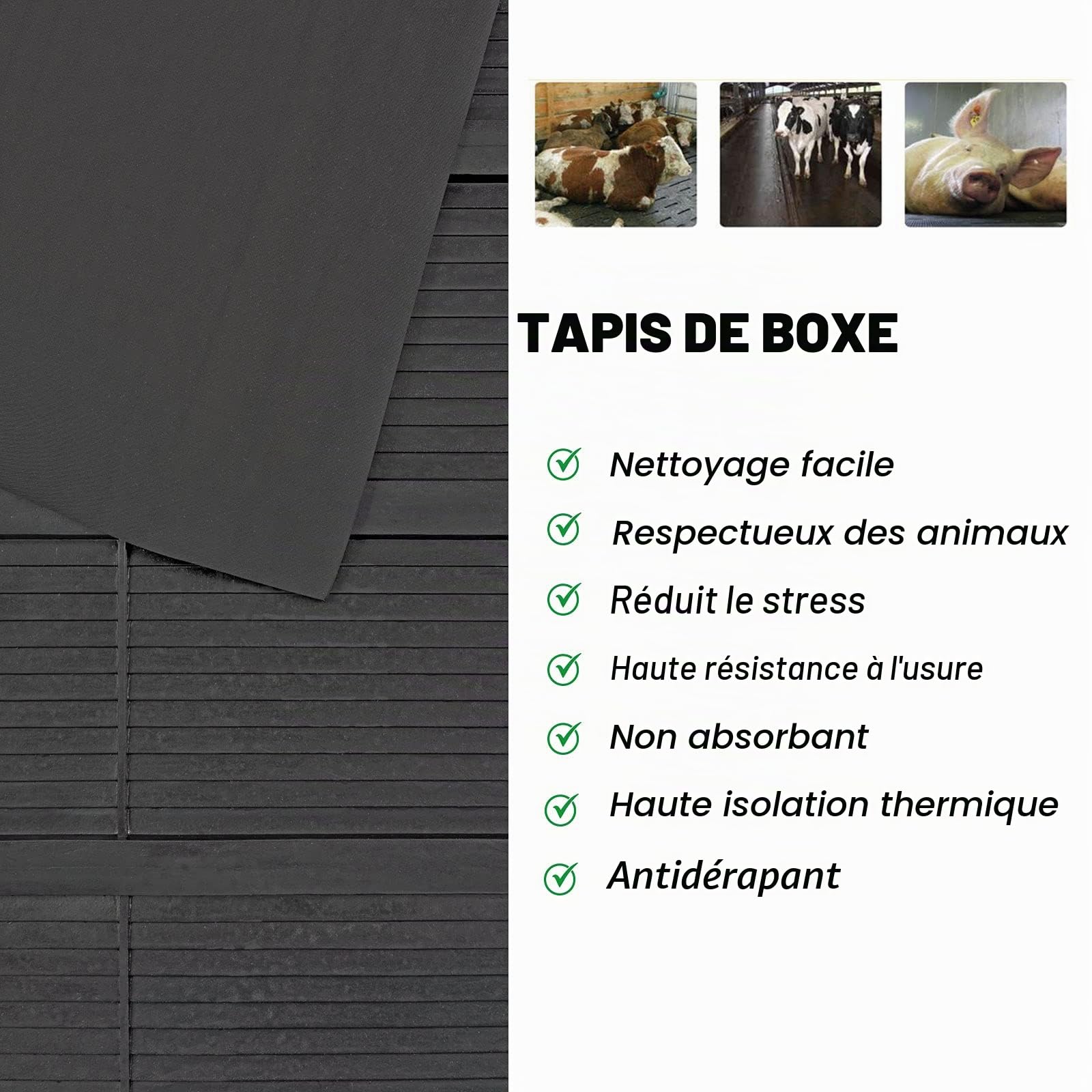 Tapis de rampes en Caoutchouc pour remorque de Cheval - Floordirekt - Revêtement de Protection antidérapant permettant d'entre en Toute sécurité - Protège Les articulations - GW8002