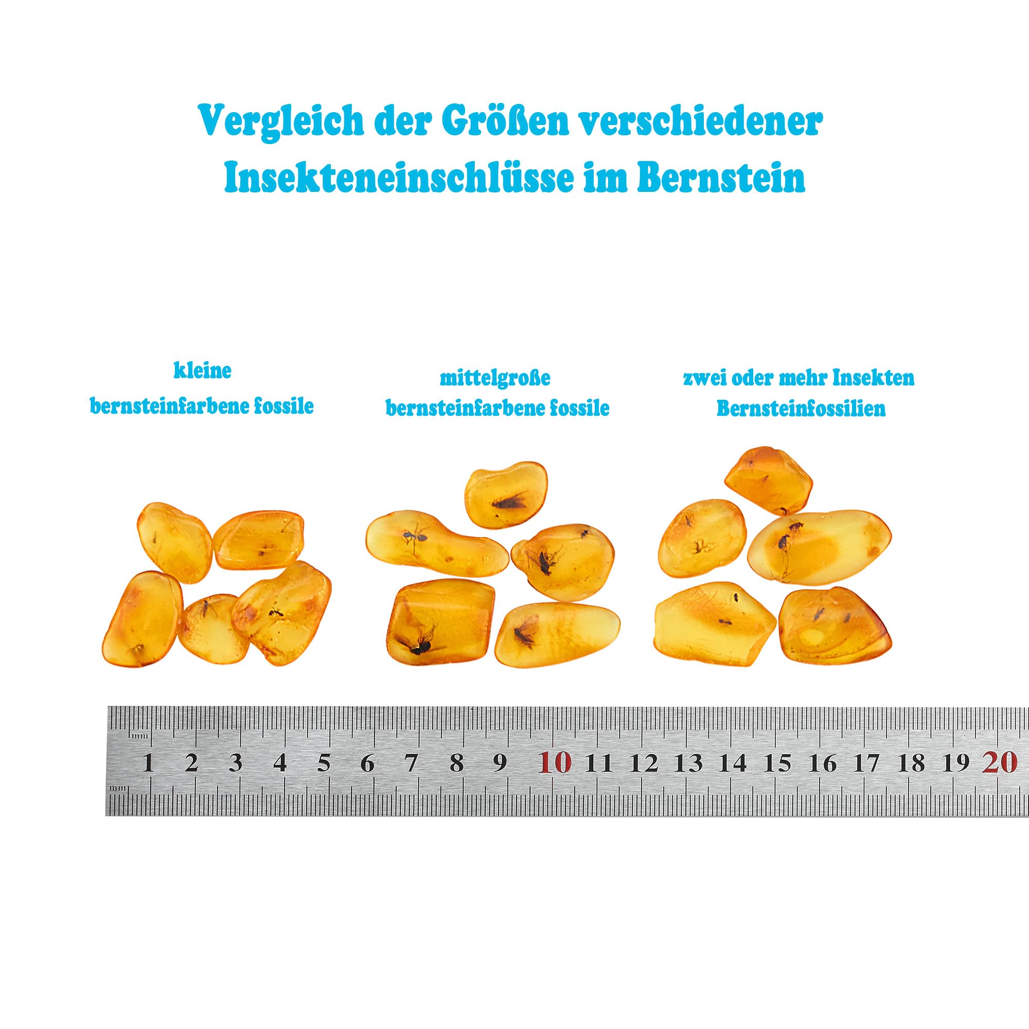 Natürlicher fossiler Baltischer Bernstein, Insekten von vor Millionen von Jahren, 4 Sets, echte Insektenproben, Wissenschaft, Bildung, Tierexemplare (Kleine Bernsteininsekten)