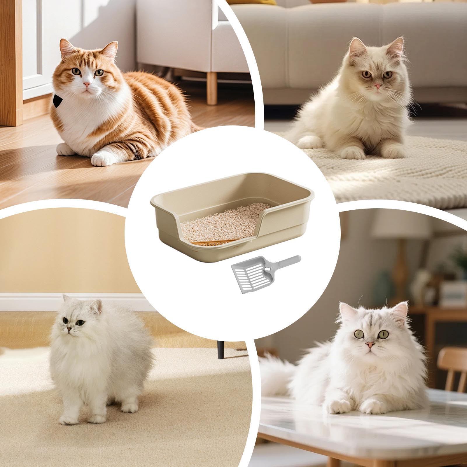 Katzenklo Groß Leicht Zu Reinigen Mit Schaufel