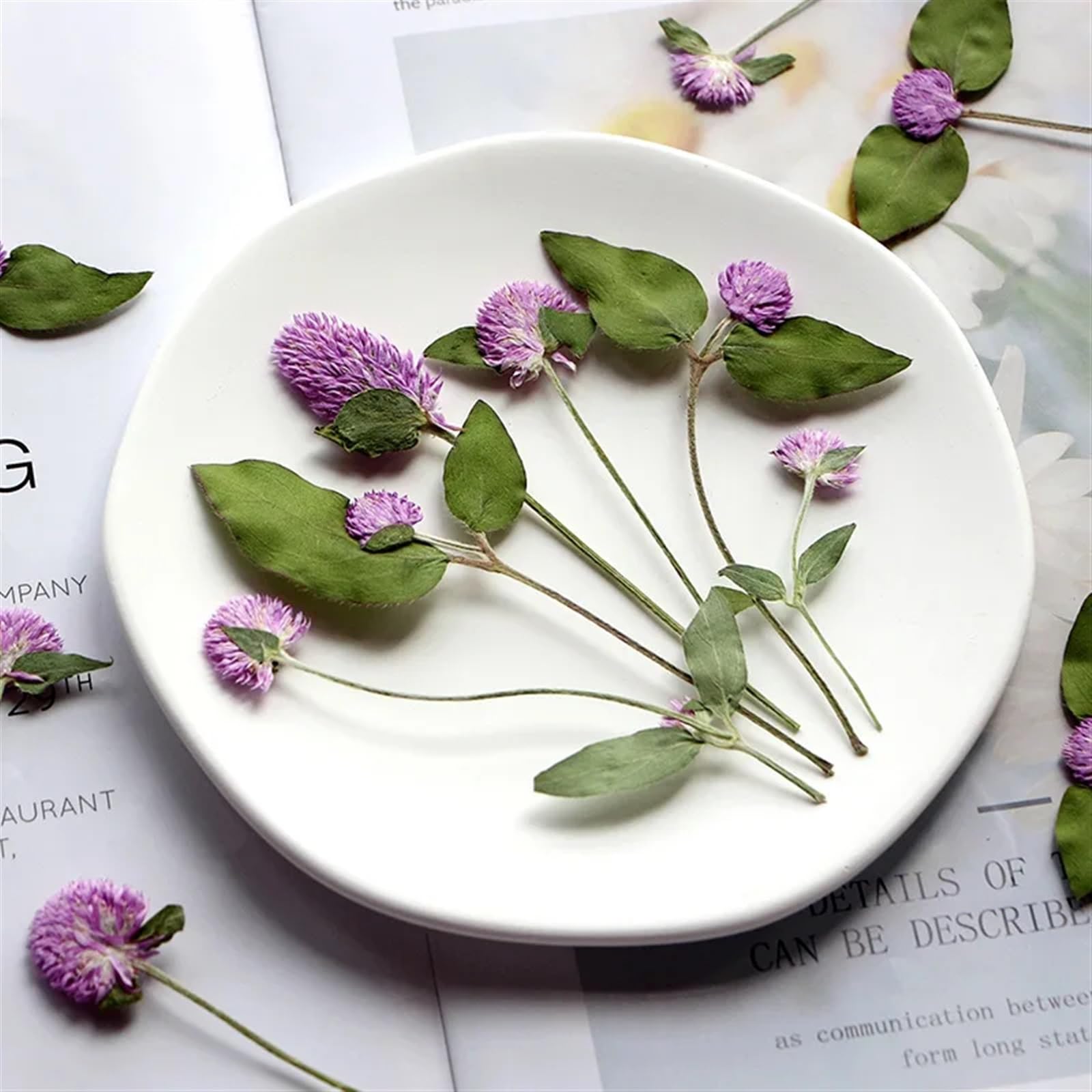 Trockenblumen 120 Stück gepresste, getrocknete Gomphrena Globosa-Blume, Herbarbelege for Epoxidschmuck, Karten, Lesezeichen, Rahmen, Telefonhülle, Gesicht, Make-up, Lampe(Red)