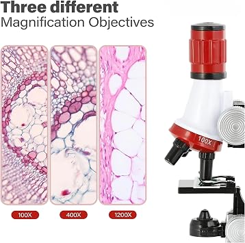 Microscope for Kids and Beginners, 100–1200X Magnification Capacity, 12 Biological Slides Gifts, LED Light Design, Educational and Educational Microscope Set Suitable for Home and School Use