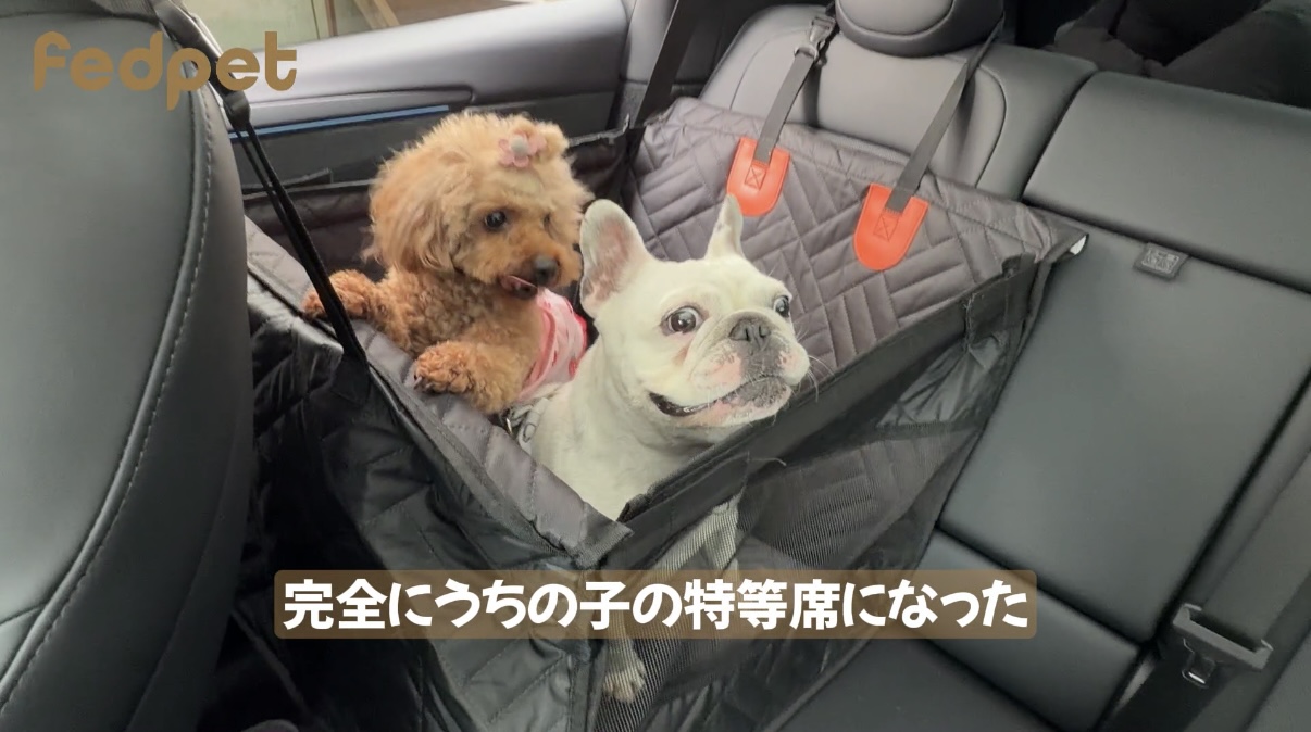Amazon.co.jp: FEDPET ドライブ 犬 車 シート 防水 犬 ドライブ