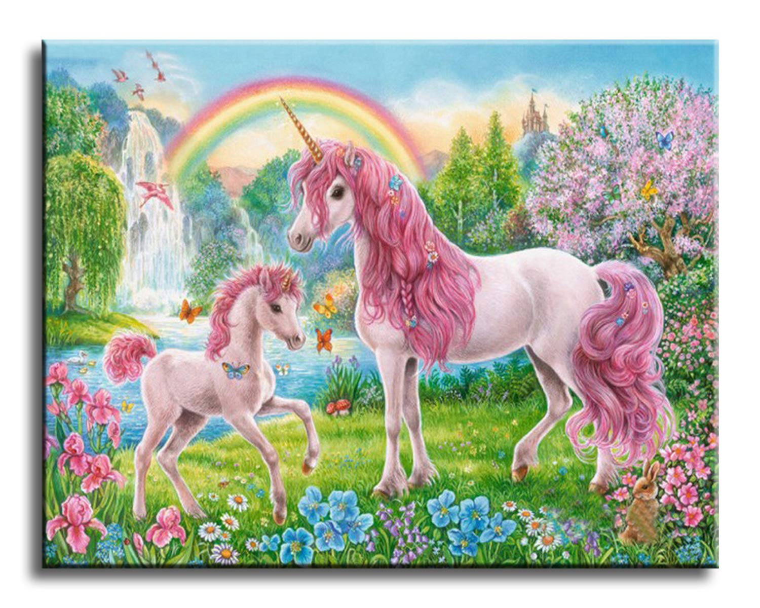 Shukqueen Unicorn Paint By Number Kits, Diy Oil Painting For Adults, Beginner's,