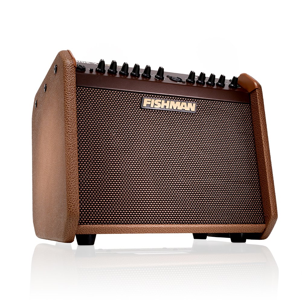 Amazon.co.jp: FISHMAN フィッシュマン ラウドボックス・ミニ