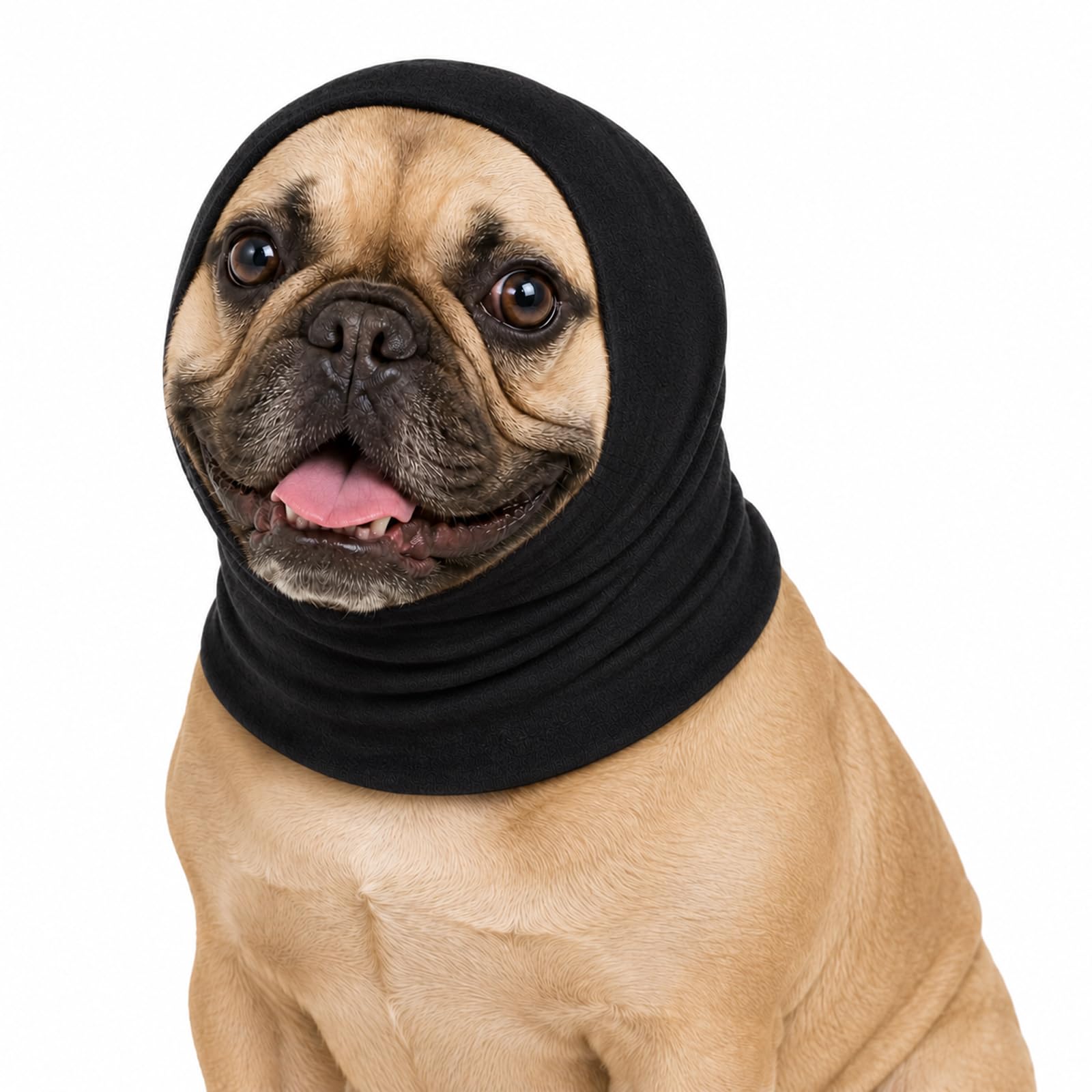Dog Snood Ear Protector, Stretchy Cotton Head Wrap, Black, Size M, 1-Pack