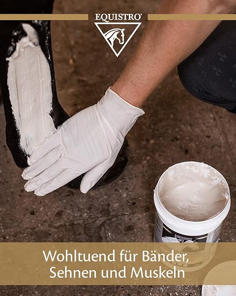 EQUISTRO® Percutin Paste | Pflegeprodukt für Pferde mit Tonerde, Arnika und Menthol | Normalisiert die Flüssigkeitsverteilung im Gewebe | Besonders wohltuend | 2.000g - 2
