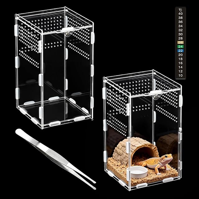 QingWing Caja de Reptiles Acrílica, 20x12x12cm Terrario Acrílica con Pinzas