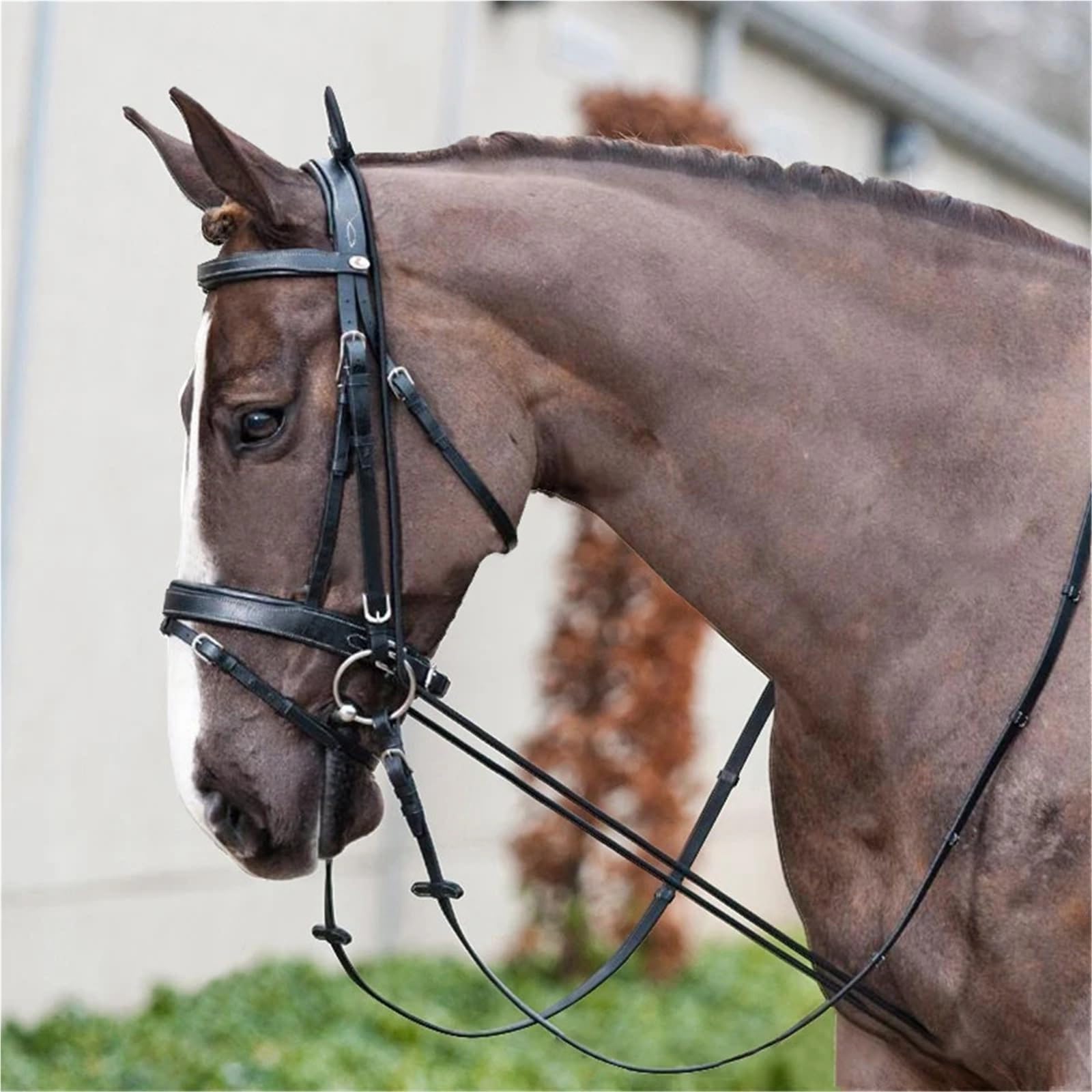 Brida for montar a caballo, Halters elásticos for cuello de , equipo carreras, suministros ecuestres, herramienta entrenamiento