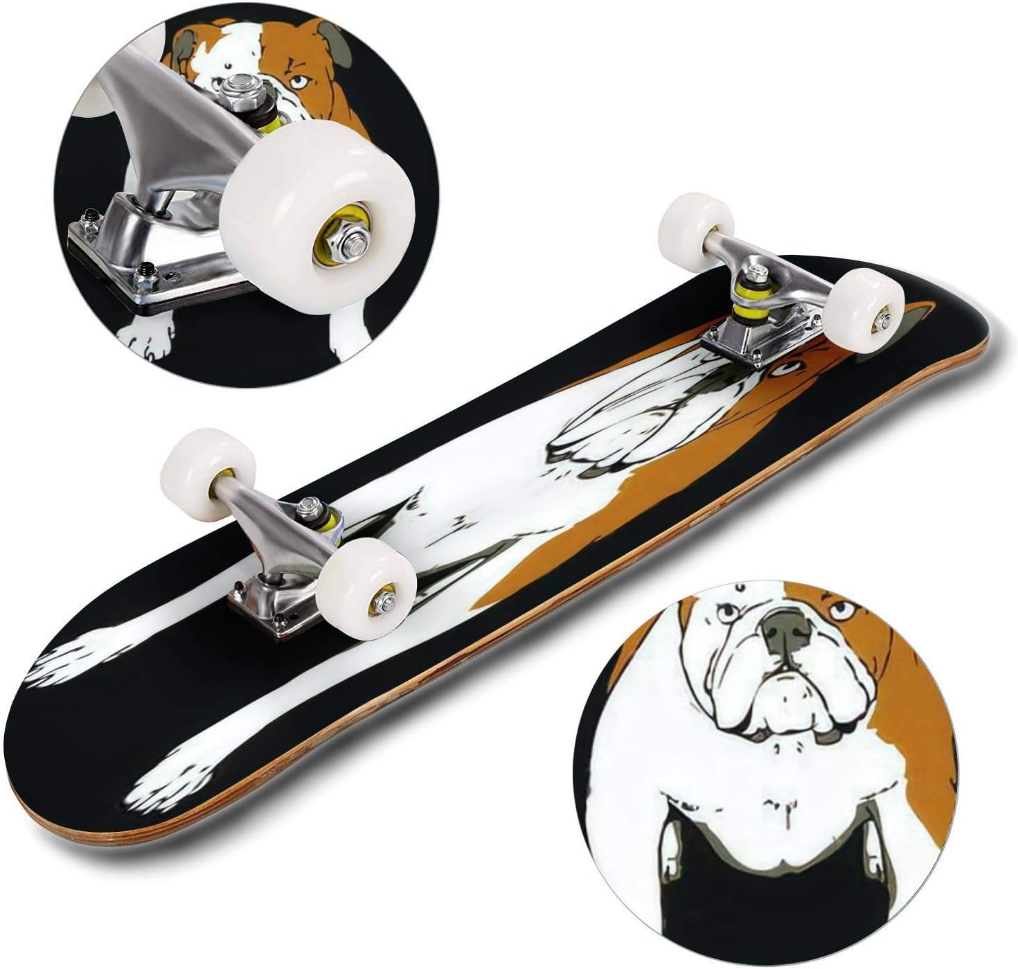 Seamless Beautiful Sparrow Pattern with Vintage Background and Flower Skateboard 31"x8" Double-Warped Skateboards Outdoor Street Sports Skateboard for Beginners Professionals Cool Adult Teen Gifts Color9 Color image 5 of 6 B092875KZ7