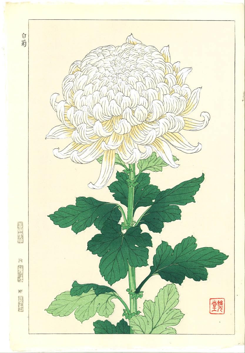 河原崎奨堂 芸艸堂 花の木版画 桔梗 河原崎奨堂｢桔梗｣ | 山田書店美術
