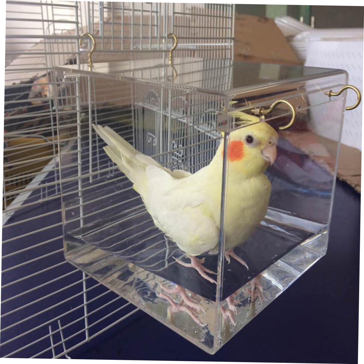 Vogelbadkäfig Transparente Waschwanne aus Kunststoff für Kleine Vögel