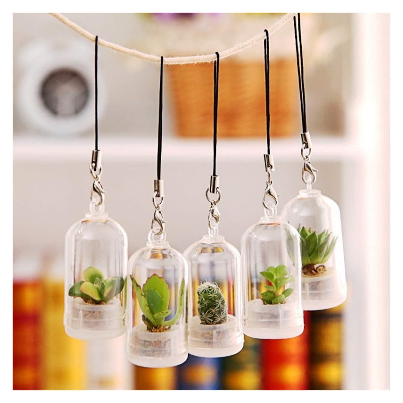 キーフラワー　基本＋　拡張2つ(農夫たち、商人たち) キーマーケット　4点セット Amazon.co.jp: シミュレーション多数の植物キーホルダーミニ盆栽