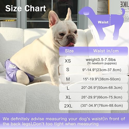 Miniatura 2 de JoyDaog Pañales para perras pequeñas, paquete de 4 pañales reutilizables de alta calidad para el vientre de cachorros, talla XS
