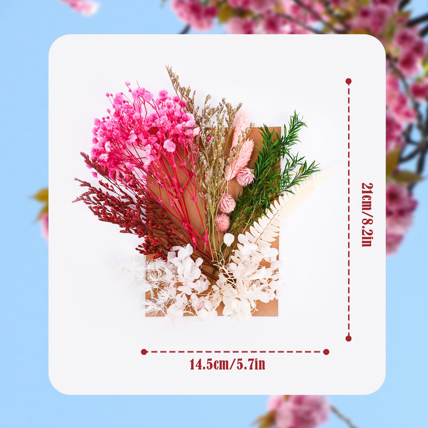 Dried Flowers - Image 2