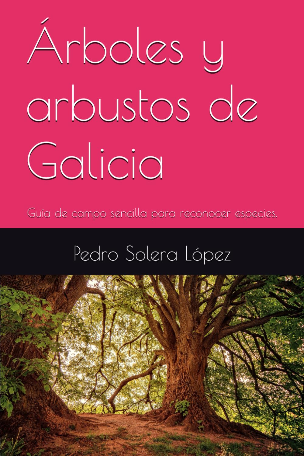Árboles y arbustos de Galicia: Guía de campo sencilla para reconocer especies.