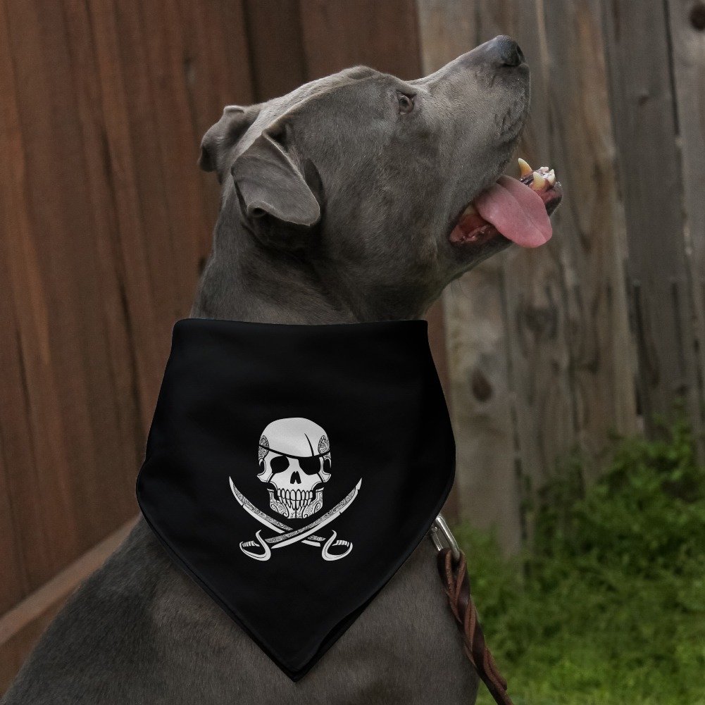 Graphiques & ✮ More Bandana pour chien Motif crâne pirate