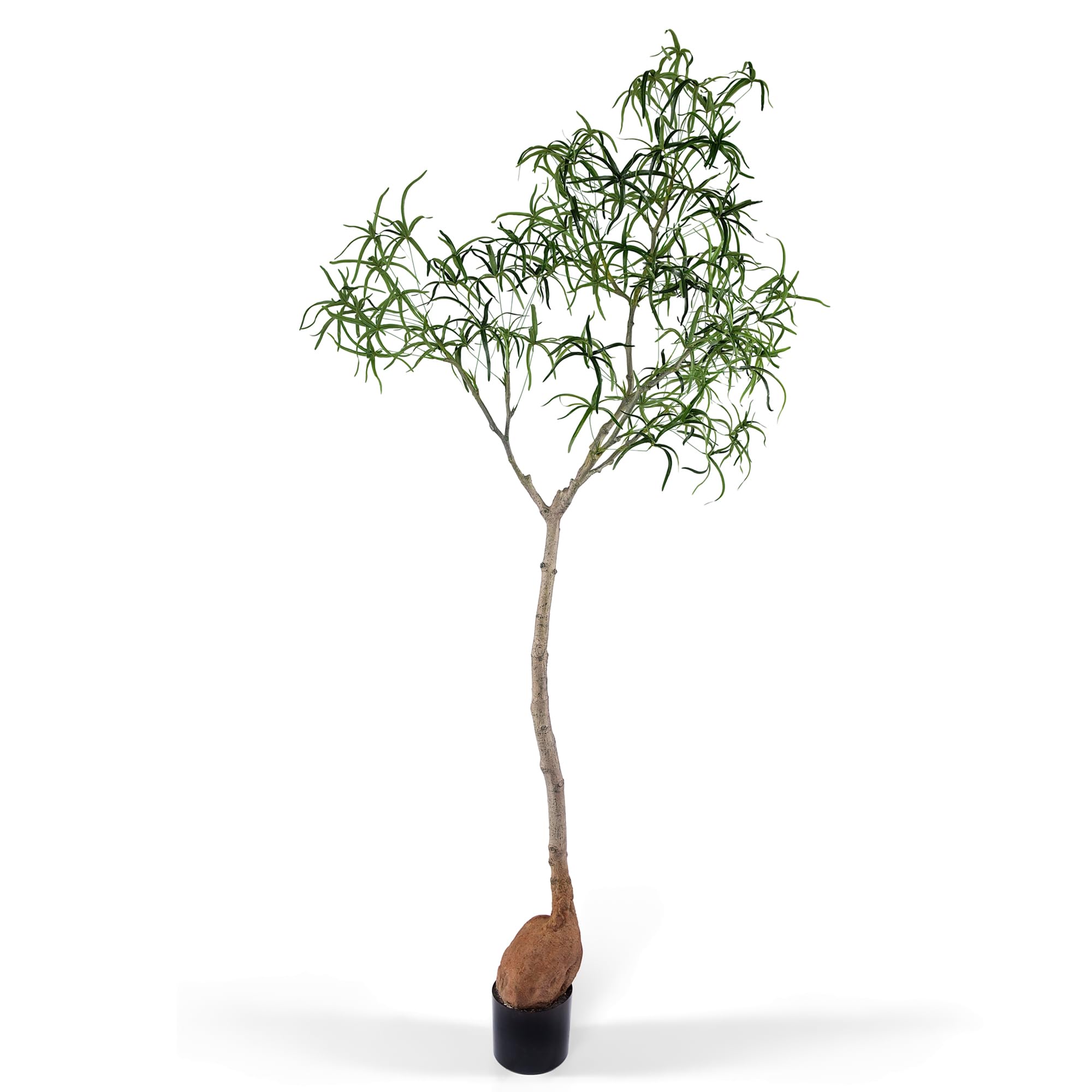 Amazon.com: Everleaf 6.5FT Queensland Bottle Tree, Sculptural Faux