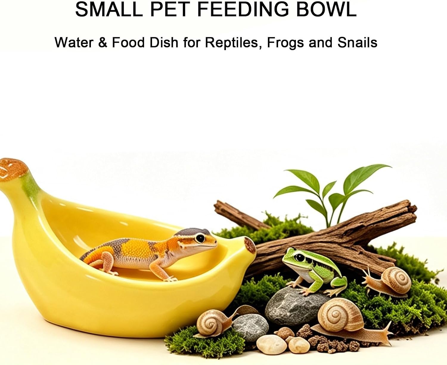10 Pack Mini Banana Reptile Water Bowls, Tiny Resin Drinking Dish with Adhesive Stickers, Cute Small Water Station Accessories for Mini Reptiles, Amphibians, Tarantulas, Juvenile Geckos, Hermit Crabs image 4
