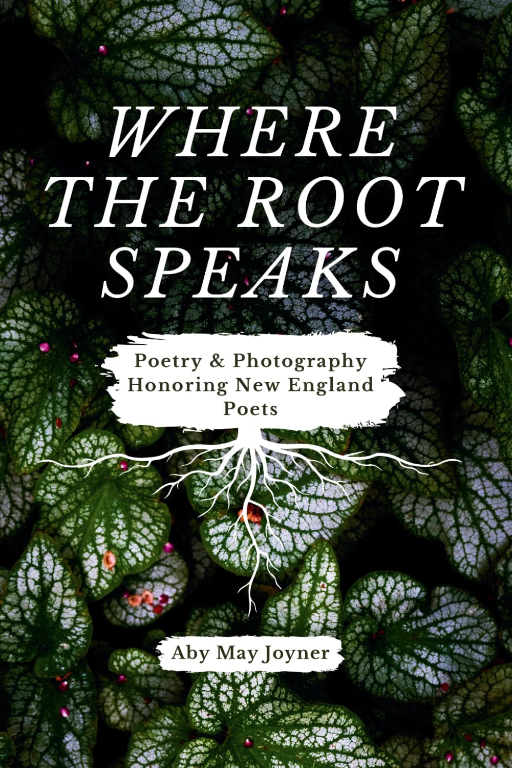 Where The Root Speaks: A Collection of Poetry and Photography Honoring New England Poets