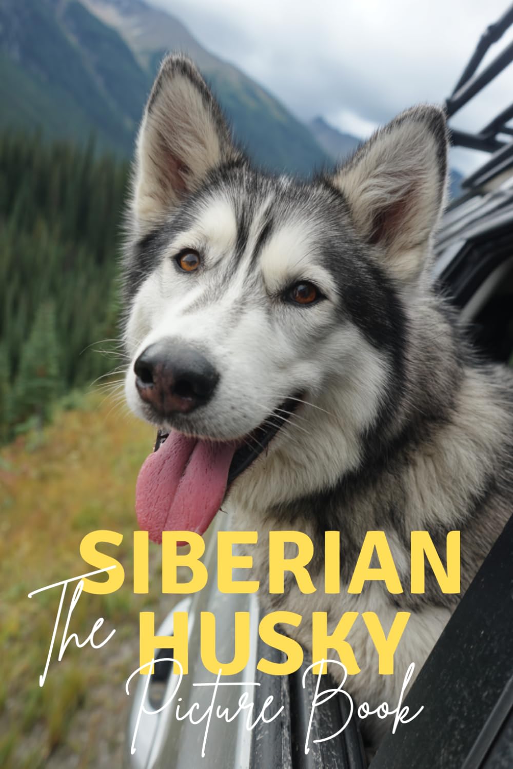 The Siberian Husky: A Premium Picture Book Celebrating The Arctic Adventurer