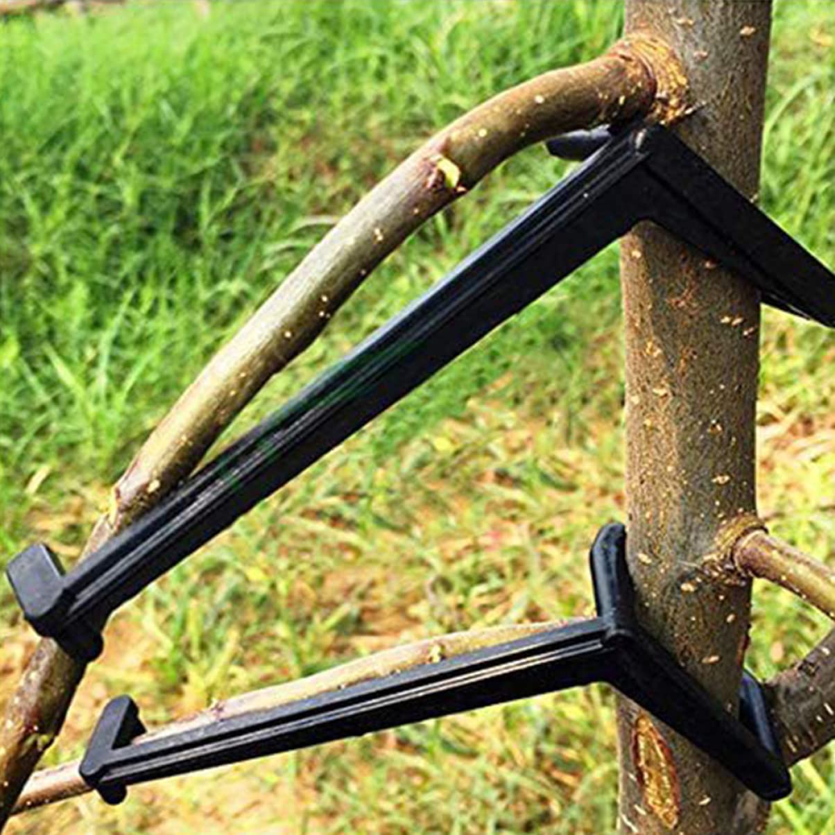 BESPORTBLE 50stücke Teiliges Einstellbarer Pflanzen-trainingsclips Und Formen Von Ästen Für Obstbäume Und Blumen Für Gartenprojekte Und Effektives Pflanzenwachstum