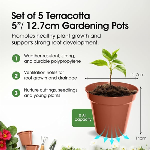 WHITEFURZE 12.7CM GARDEN POT - TERRACOTTA SET OF 5 - 2