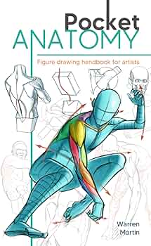 書 HANDBOOK OF ANATOMY FOR ART STUDENTS Amazon.com: Pocket Anatomy: Figure Drawing Handbook in Color