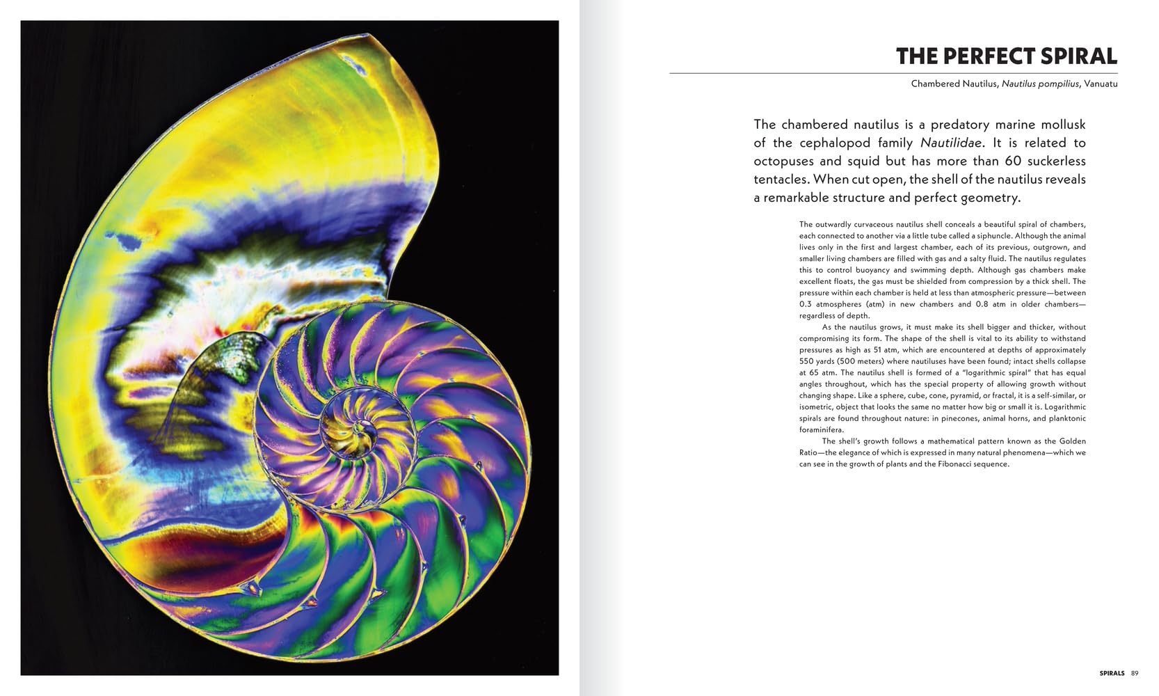 The Shape of Nature: Intricate Patterns of Life