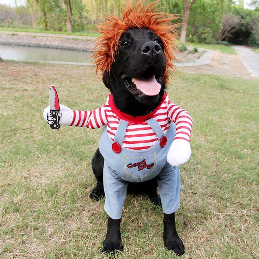 Hond Mul Pruiken Voor Kleine Honden, Huisdier Cosplay Haar Pruik, Huisdier Hoofdtooi Met Verstelbare Riem Bulldog Chihuahua Schattige Huisdier Hoofddeksels Hond Pruik Accessoire Makeover Kleding