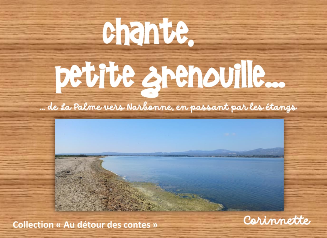 Chante, petite grenouille (Au détour des contes)