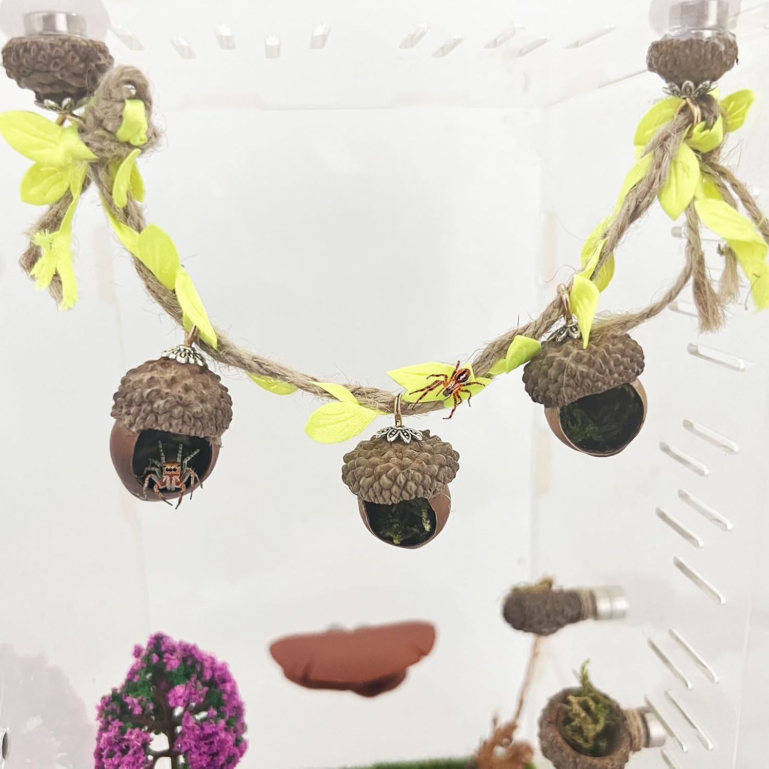 Jumping Spider Hide, Magnetic Climbing Rope Bridge, Handmade Real Acorn Hideaway Cave, Spider Platform, Decorative Accessory for Small Reptile Enclosures (Style 2)