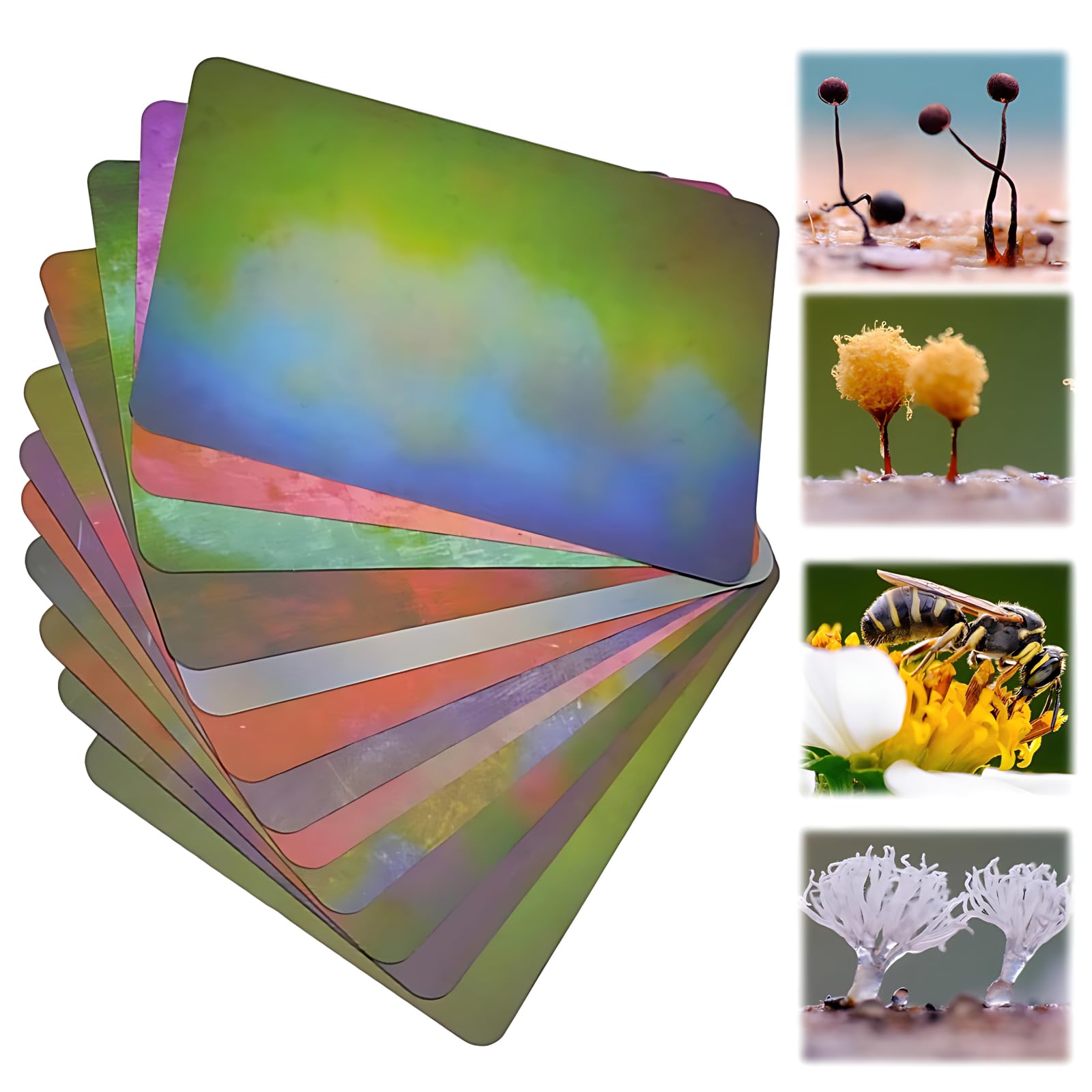 12 carte di sfondo colorate per fotografia macro, carta sfocata per fotografia in studio, materiale ecologico assorbente per piccoli prodotti, immagini di alimenti e gioielli