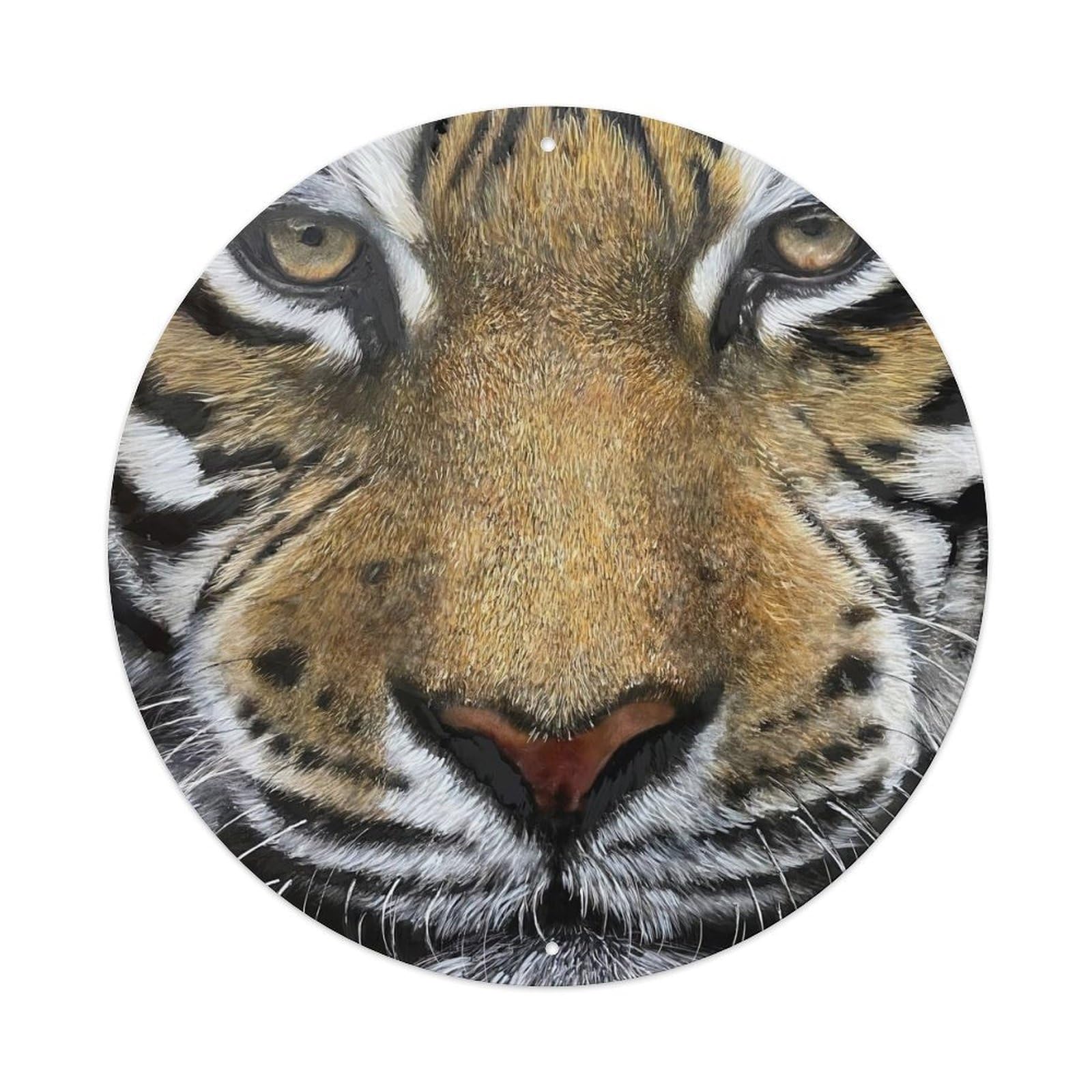 Animal Tiger's Gaze Metal Tin Sign